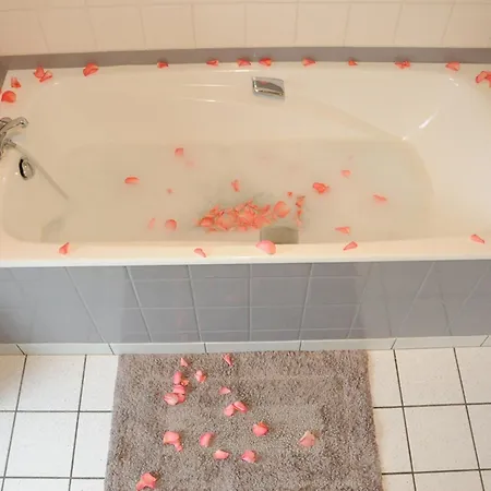 Spacieux Avec Cheminee Et Animaux Admis - Fr-1-497-121 *