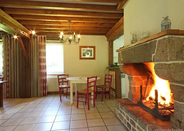 Spacieux Avec Cheminee Et Animaux Admis - Fr-1-497-121 *