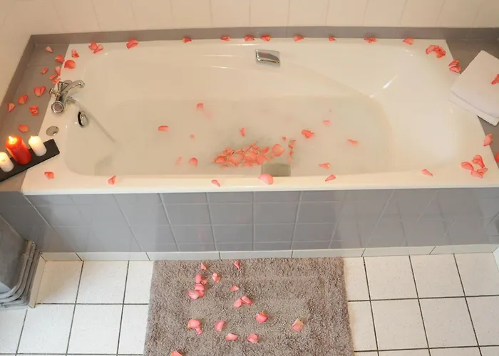 Spacieux Avec Cheminee Et Animaux Admis - Fr-1-497-121 *